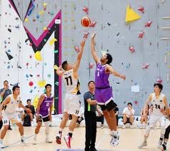 女性博彩数据分析师比例升至52%