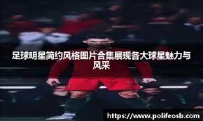 什么是“非理性坚持成本”？（如何理解“非理性坚持成本”？）