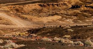 什么是“路纸噪音”？（“路纸噪音”指的是什么？）